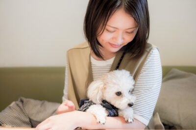 運営者紹介