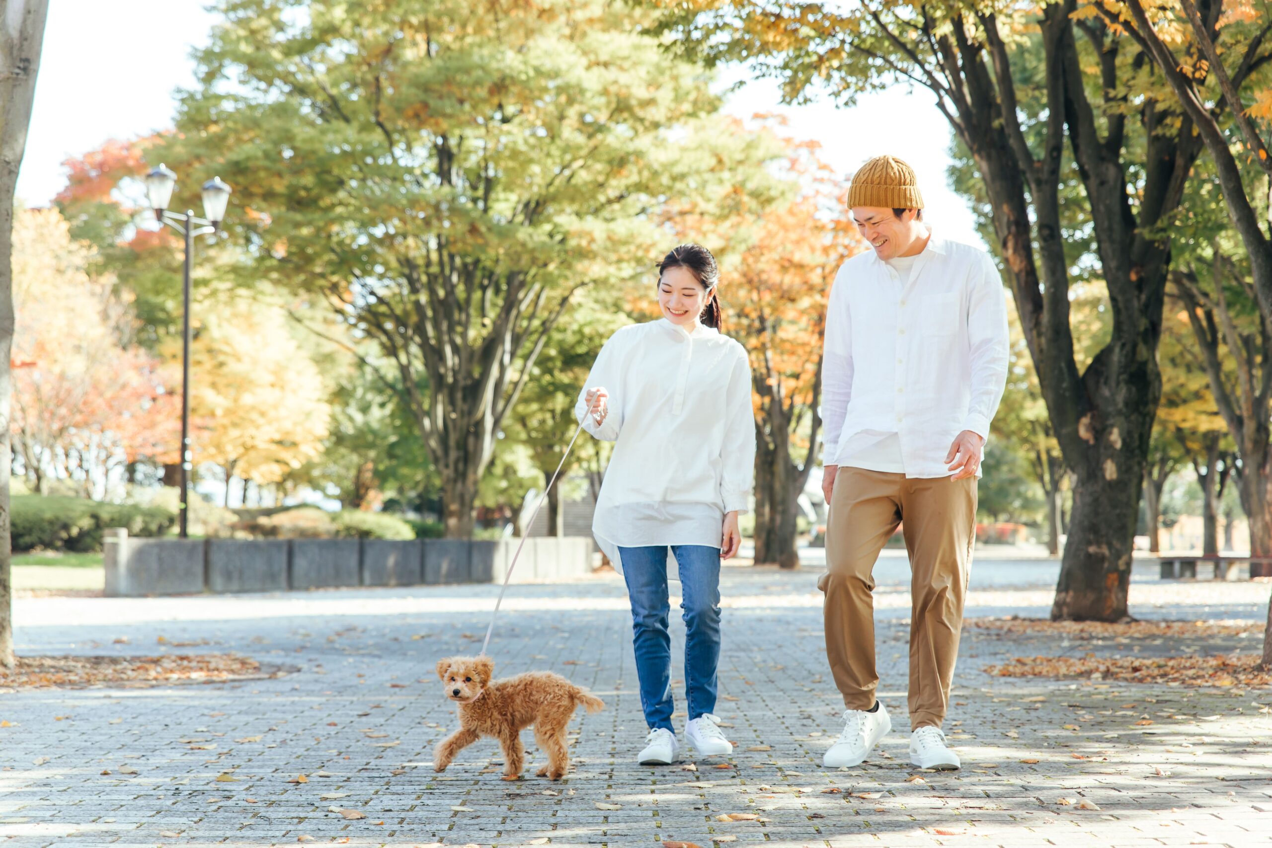 共働き トップ でも 飼える ペット